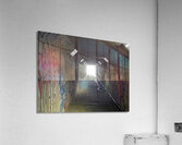 IMG 4689 Acrylic Print