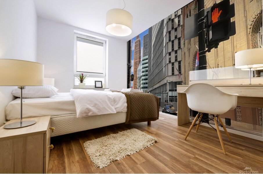 IMG 3771 Mural print