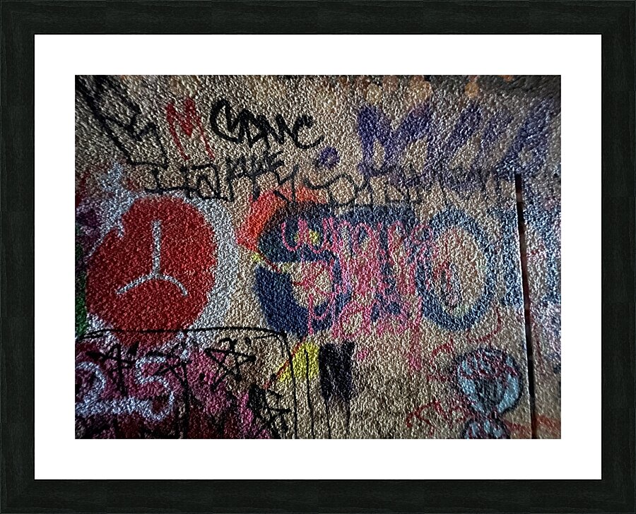 IMG 4719 Picture Frame print