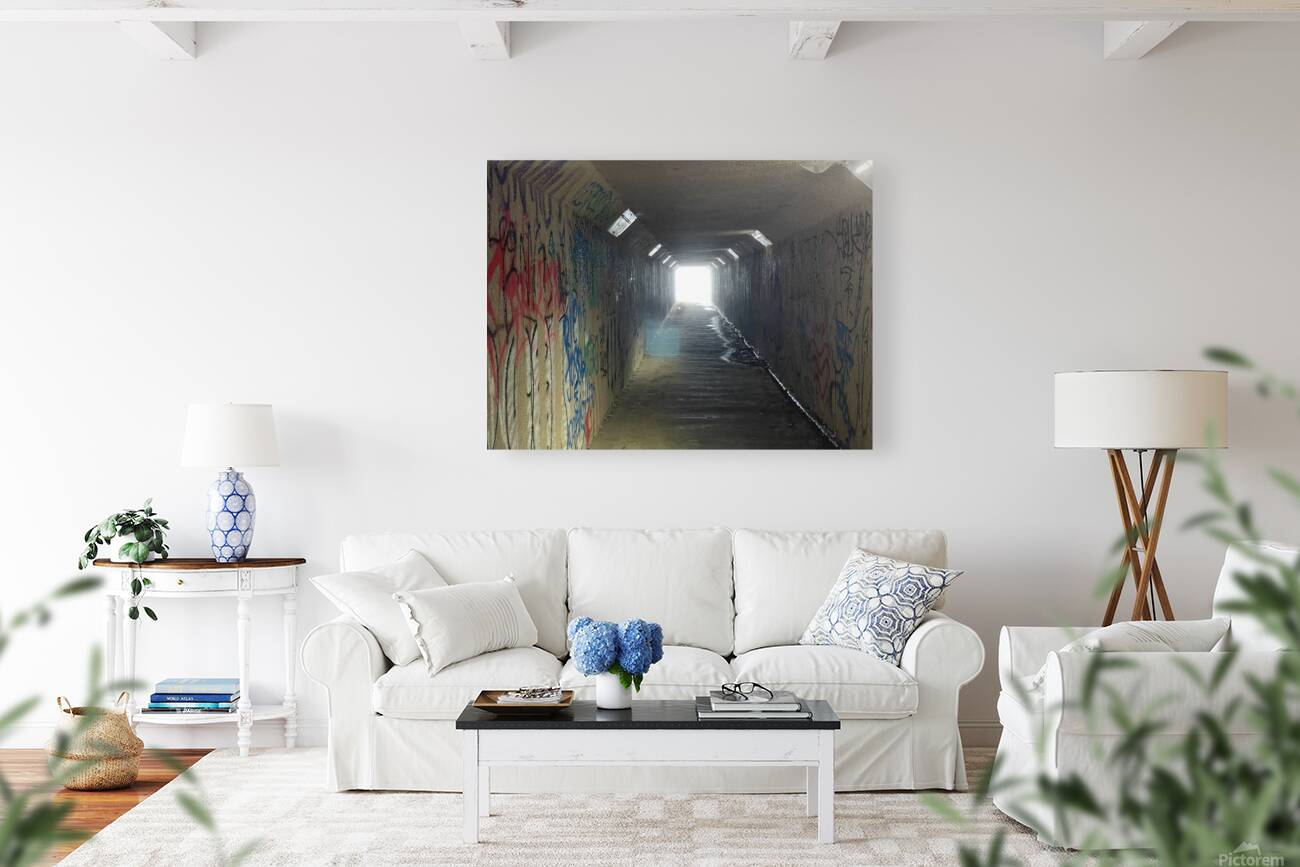 IMG 4689 Reproduction