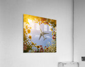 Plane Acrylic Print