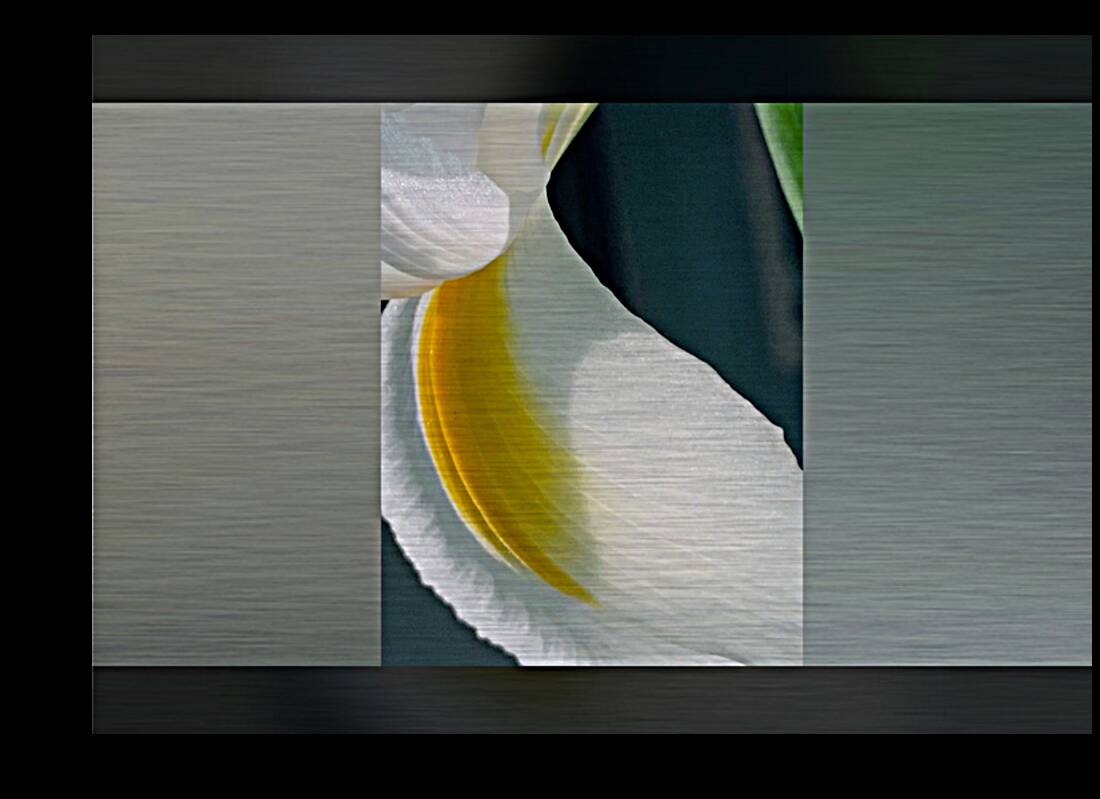 IMG 9928 Reproduction