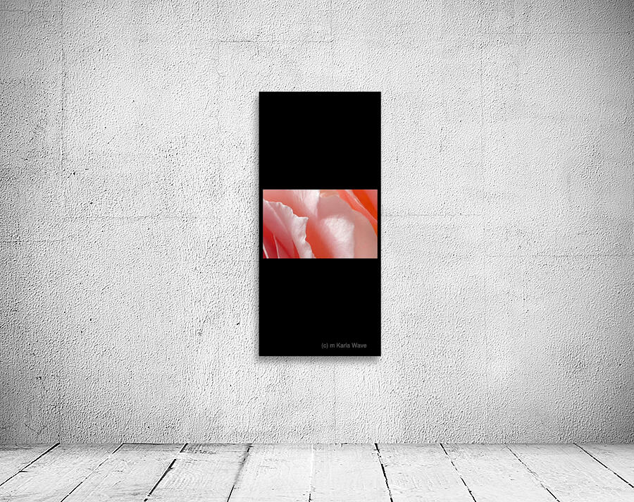 IMG 9125 Wall Preview
