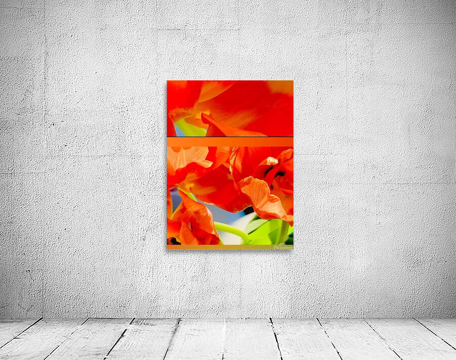 IMG 9015 Wall Preview