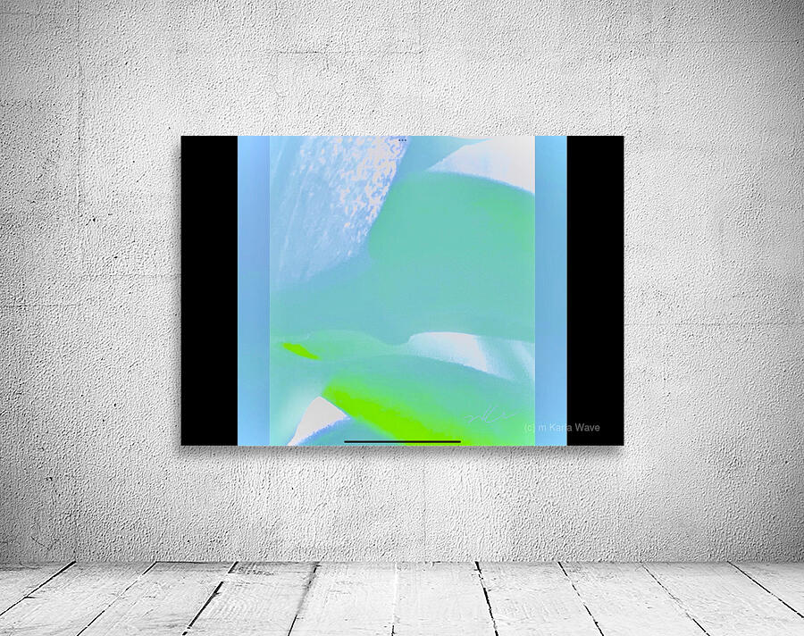 IMG 9232 Wall Preview