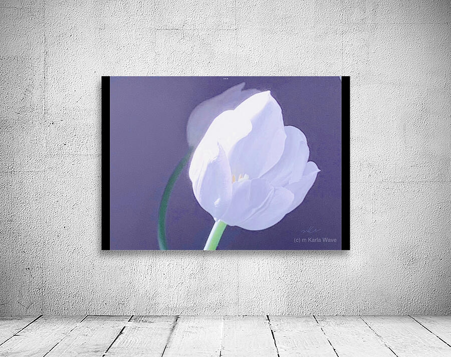 IMG 9929 Wall Preview