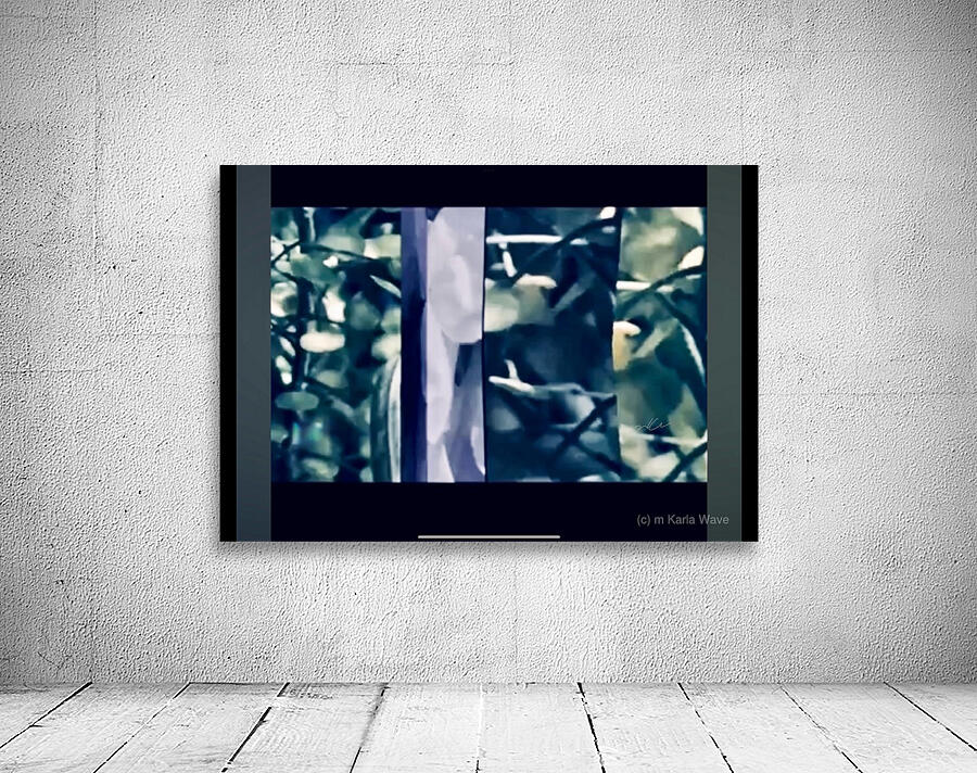 IMG 0687 Wall Preview