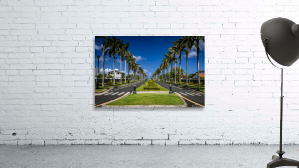 Road lined with Palm trees. Wall Preview