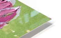 Pink Rose HD Metal print