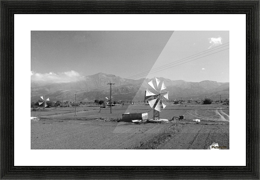 Wind field Picture Frame print