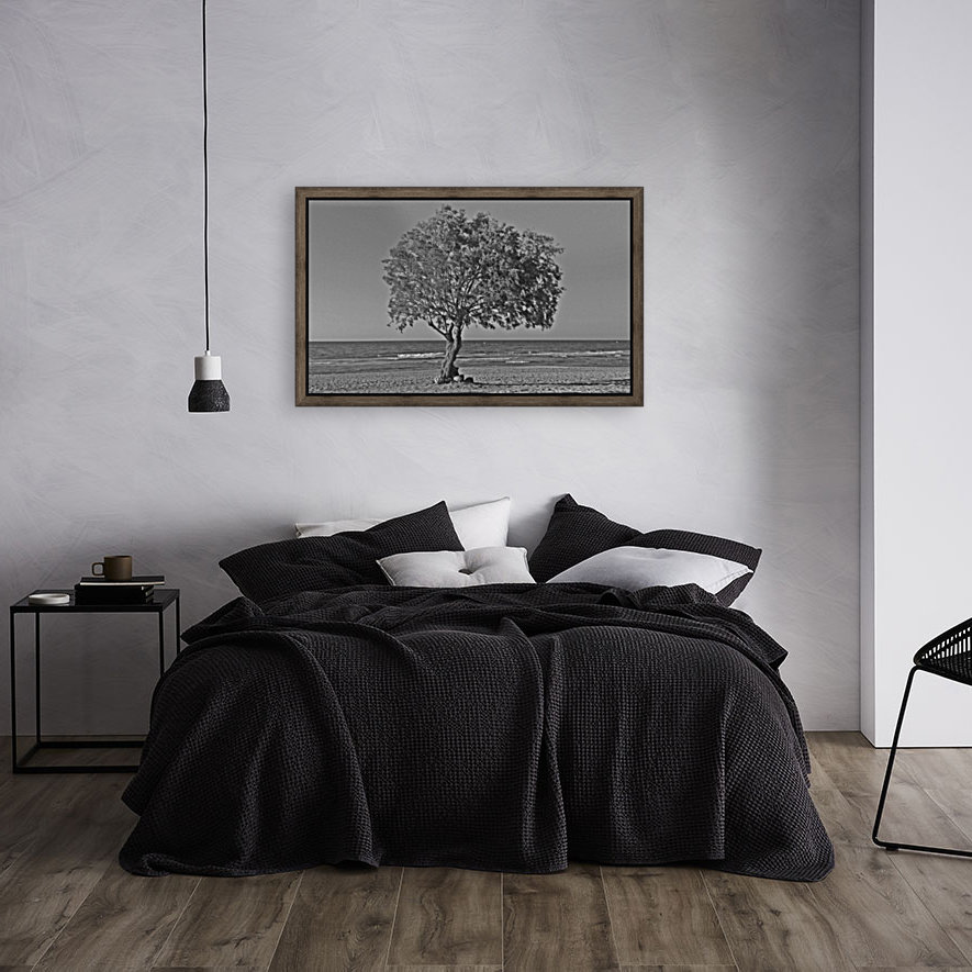 Mediterranean atmosphere Reproduction