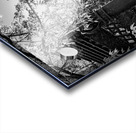 Holding Hands 1 Acrylic print