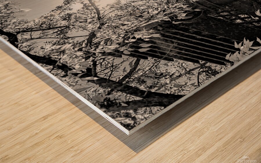 Holding Hands 1 Wood print