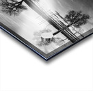 Reflections Acrylic print