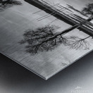 Reflections Metal print