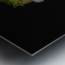 MicroGreen Metal print