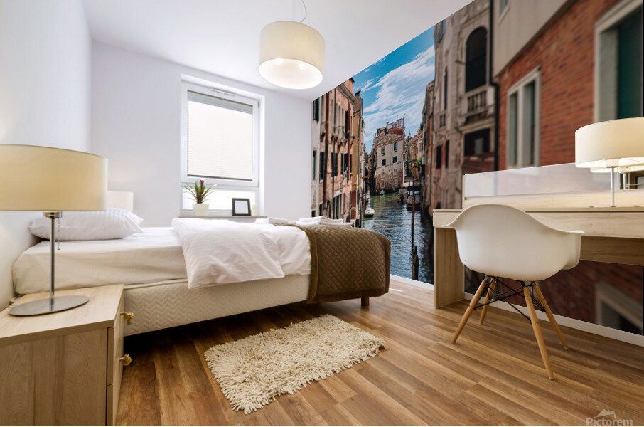 Somewhere in Venice Mural print