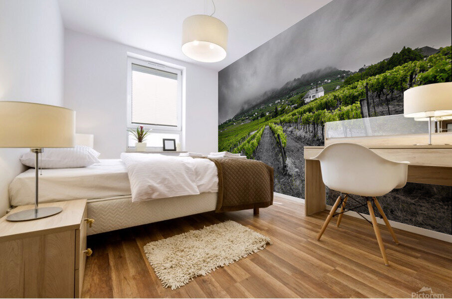 Somlo Mural print