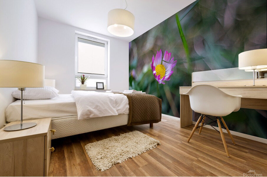 Daisy Mural print