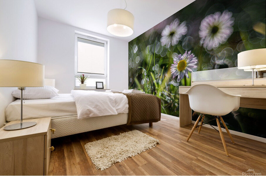 MacroDaisya Mural print