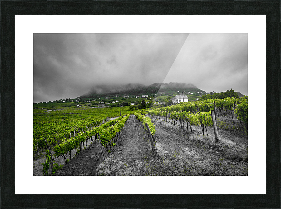 Somlo Picture Frame print