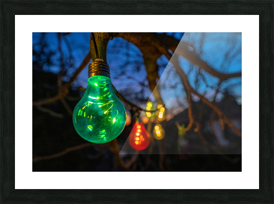 Bulbs at Sunset Picture Frame print