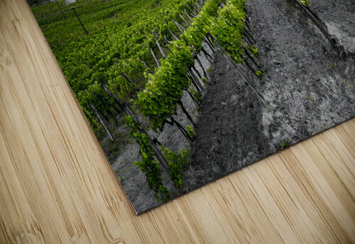 Somlo ReDSG puzzle