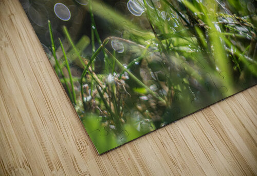 MacroDaisya ReDSG puzzle