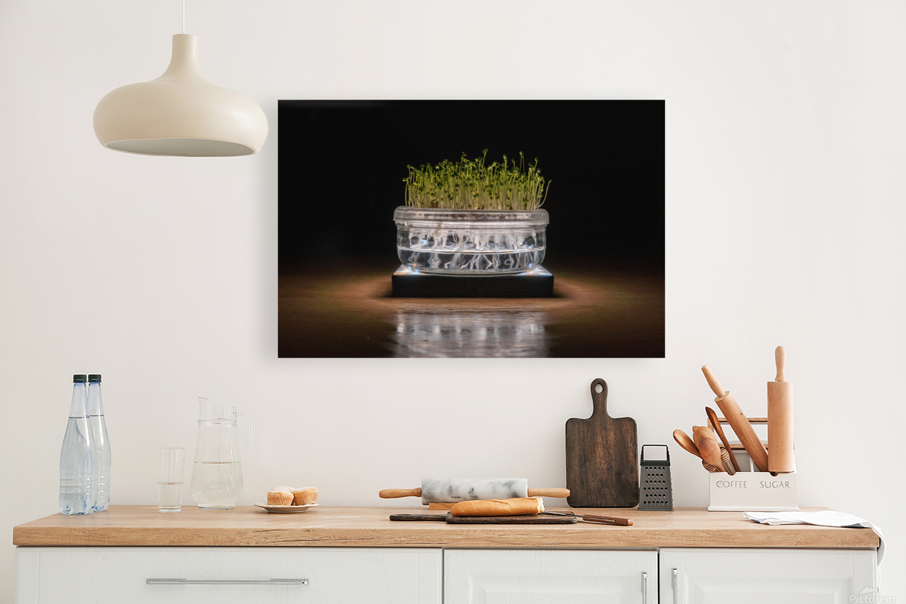 MicroGreen Reproduction