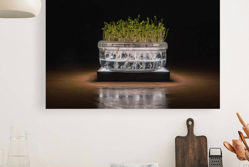 MicroGreen by ReDSG