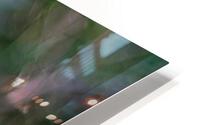 Daisy HD Metal print