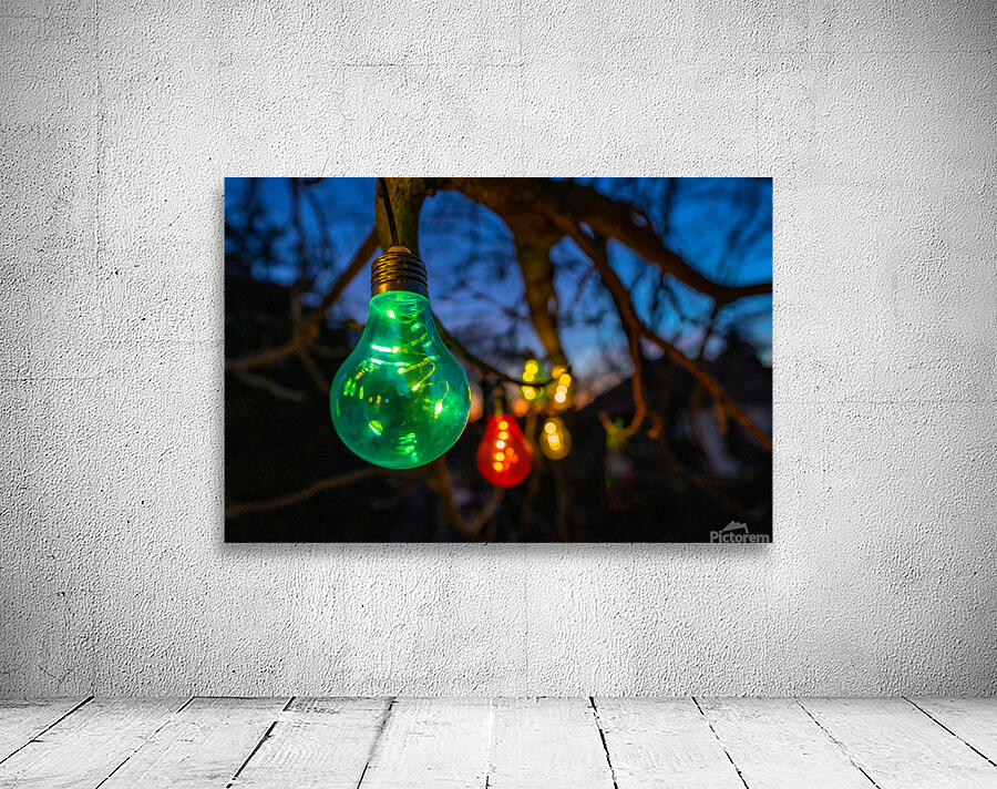Bulbs at Sunset Wall Preview