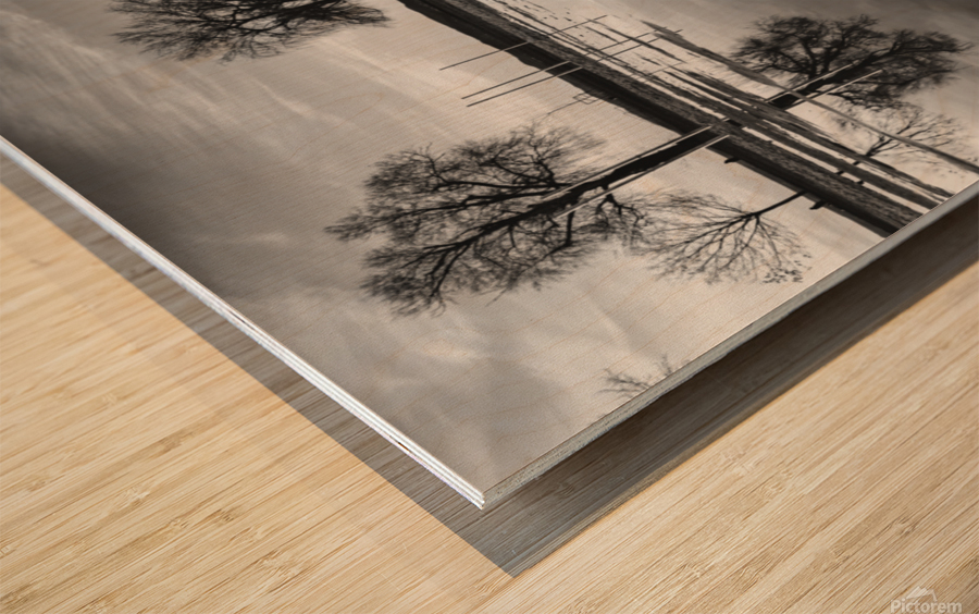Reflections Wood print