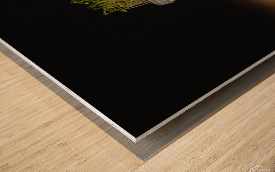 MicroGreen Wood print