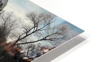Classic Canadian HD Metal print