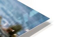 Im not sharing HD Metal print