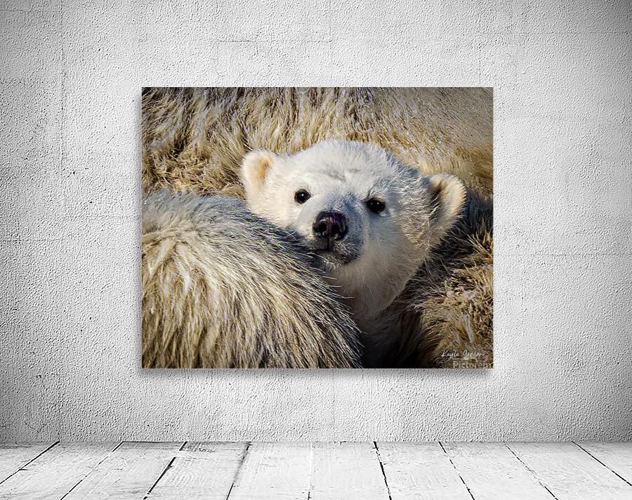 Cute. Cub Wall Preview