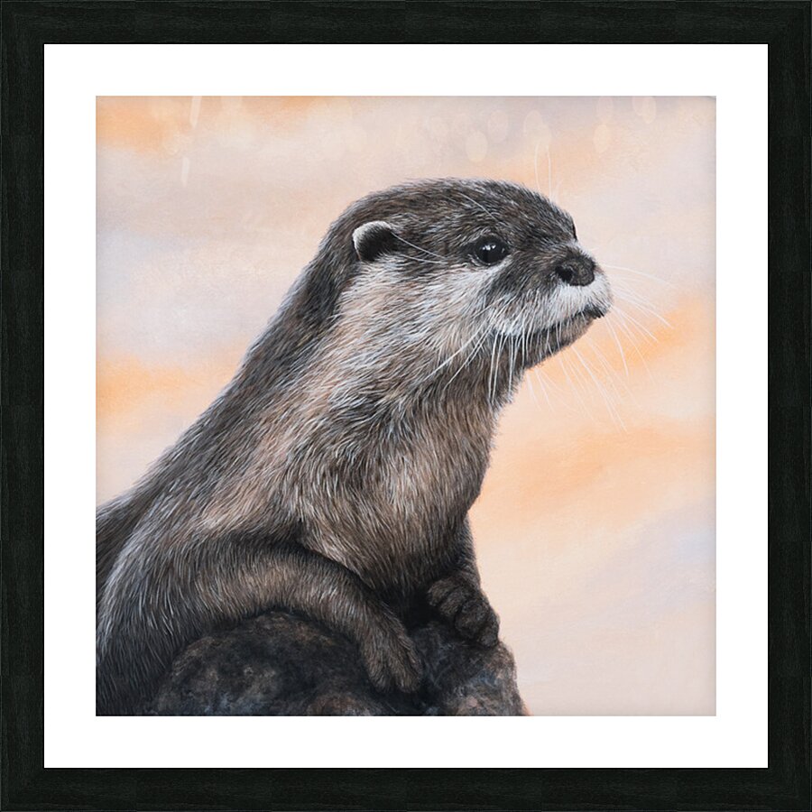 otter web 00208 edited Picture Frame print
