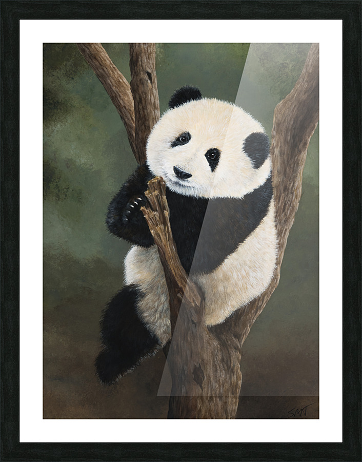 22 04 panda Picture Frame print