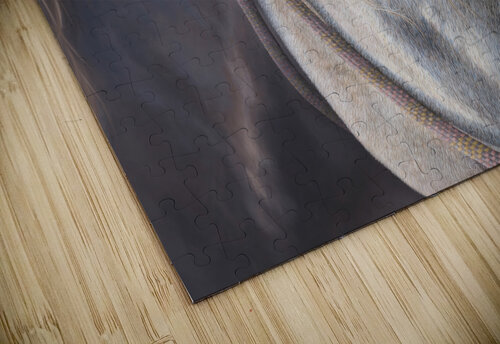 Horse Sarah McComb Turbitt puzzle