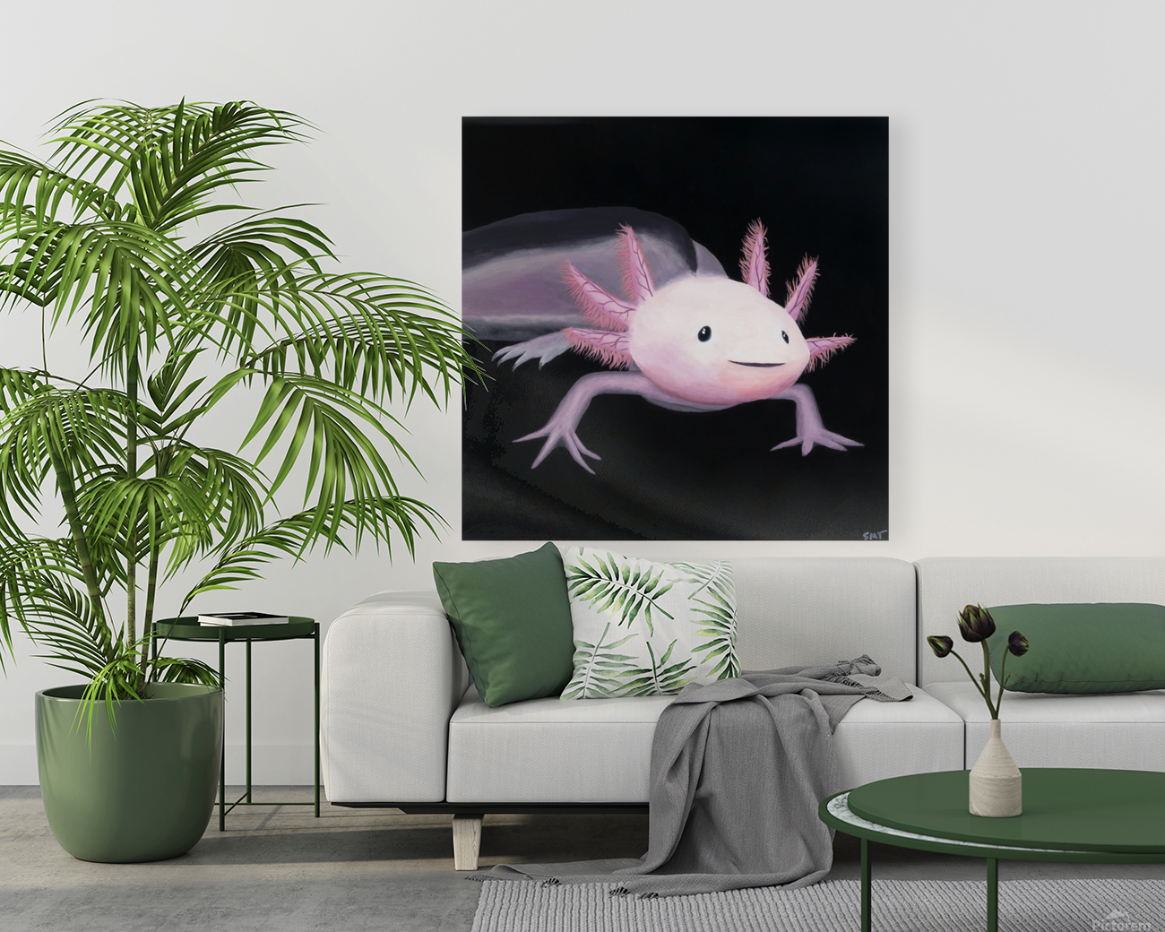 22 16 axolotl Reproduction