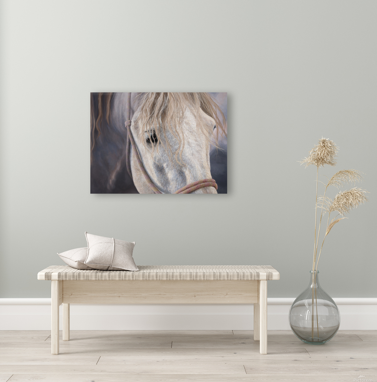 Horse Reproduction