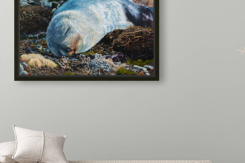 furseal 2 Reproduction