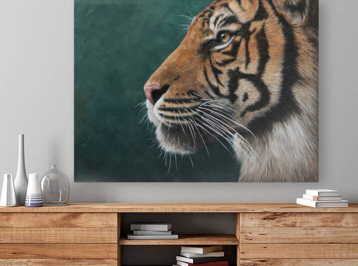22 01 tiger Reproduction