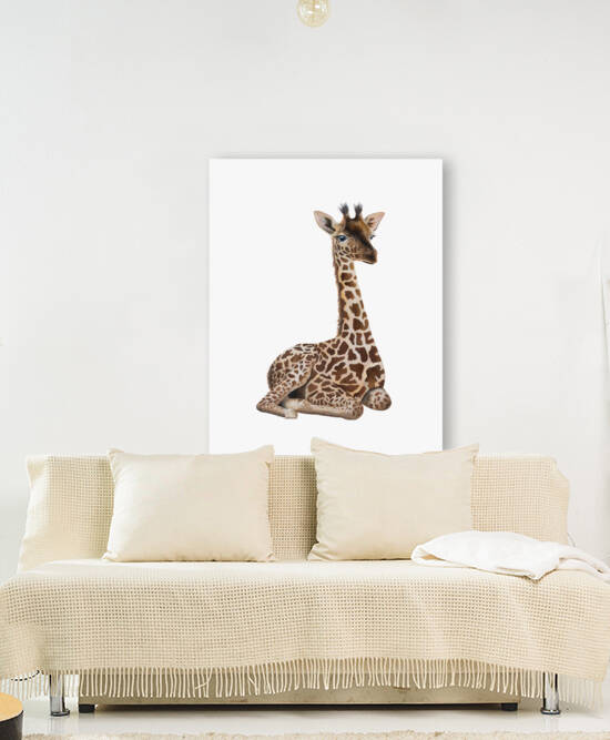 giraffe2 Reproduction