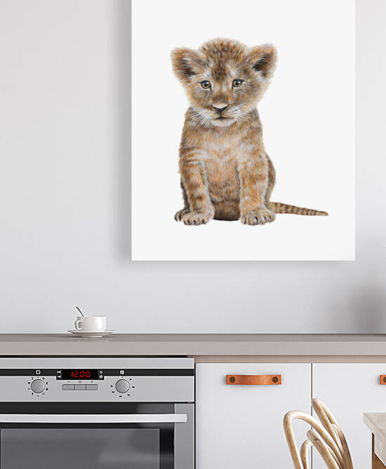 lion2 Reproduction