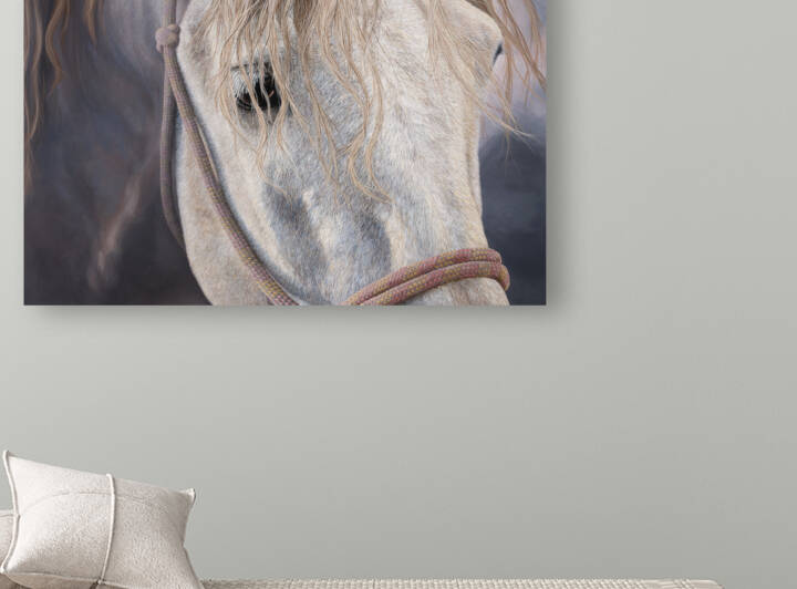 Horse Reproduction