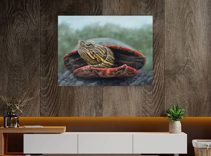 Western Painted Turtle Reproduction