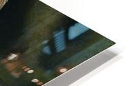 22 09 snail HD Metal print
