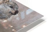 22 19 quokka HD Metal print